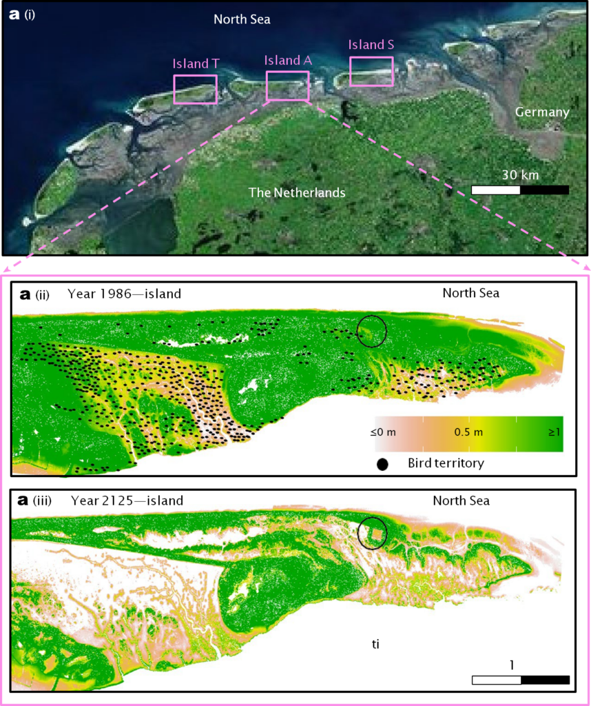 verandering in hoogteligging Ameland 